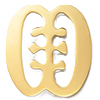 Adinkra Symbol